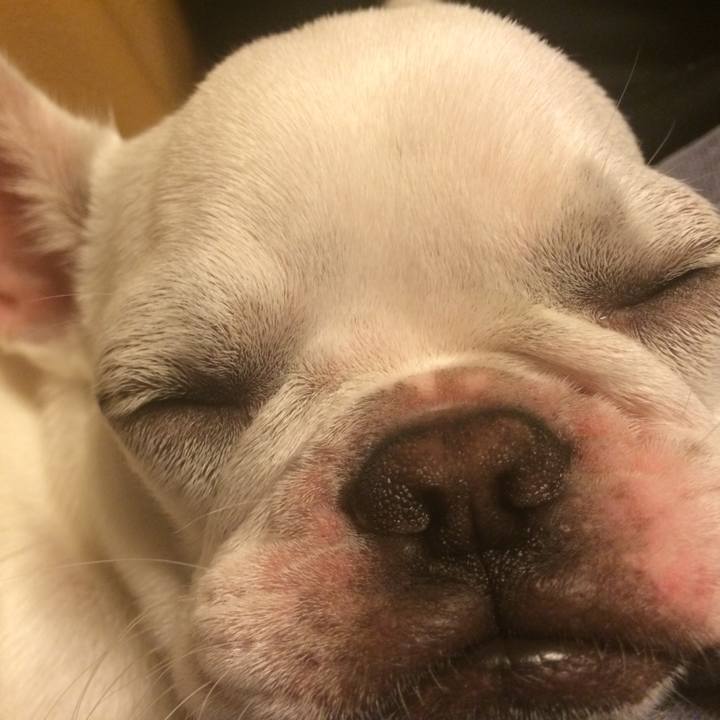 2d0c3f68 6e88 427e 87c2 df62498ff891