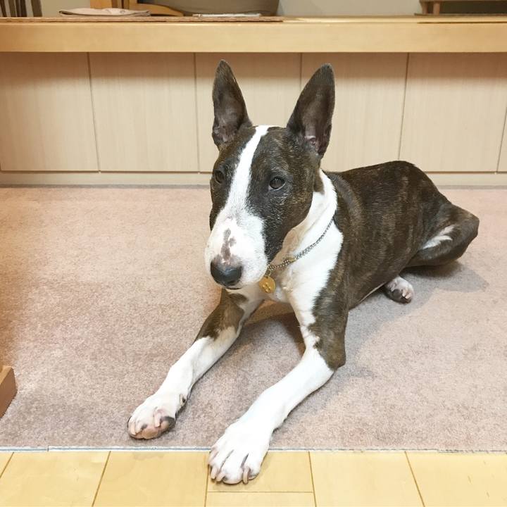 2d0cd1ed fe15 4fbe bf19 85799eb7f1da