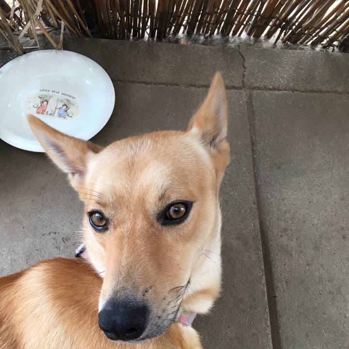 2d0d39f6 a328 4d6c 9a97 c8a50f44f3a7