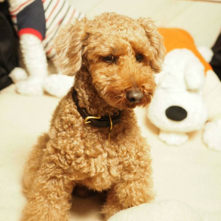 2d0dce69 2115 4271 84f0 683454de7871