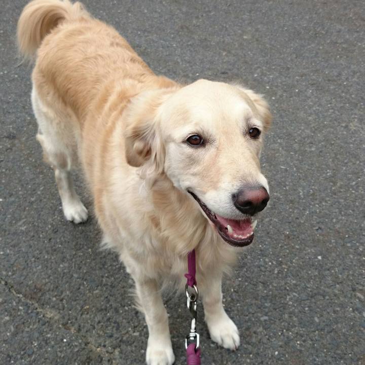 2d0dff34 4fa3 445d 84f1 dc3264f40c72