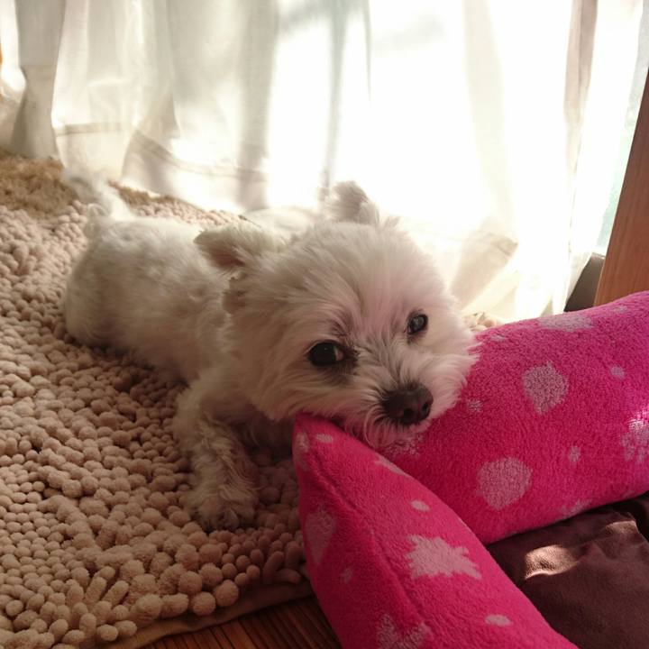 2d0eb3b8 a97f 420a 9b8e 12e69587fedc