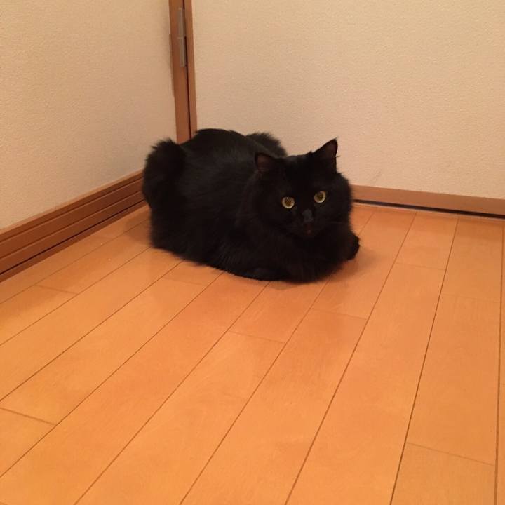 2d0ec915 5644 4315 ab86 4b2acbb05a14