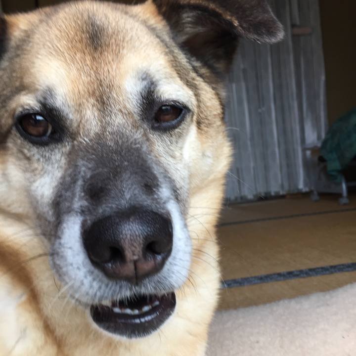 2d0f2603 fdb0 4e98 b631 7487bfbb5a68