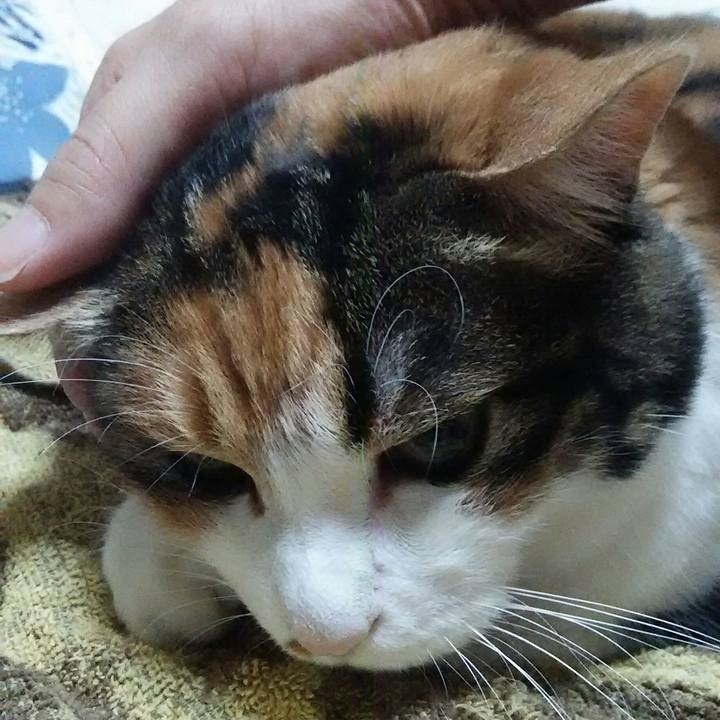 2d0f27e8 7266 47cf 81cd 83f7ec4562d2