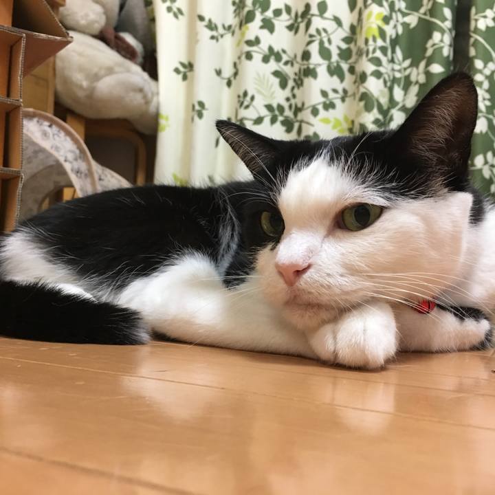 2d0f545c f5ea 4a8a a6ae e24d01585986