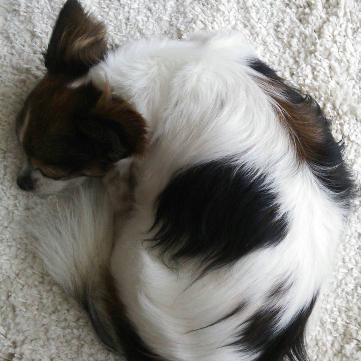 2d1051b7 5bae 4ac0 95f4 9de94c7d4985