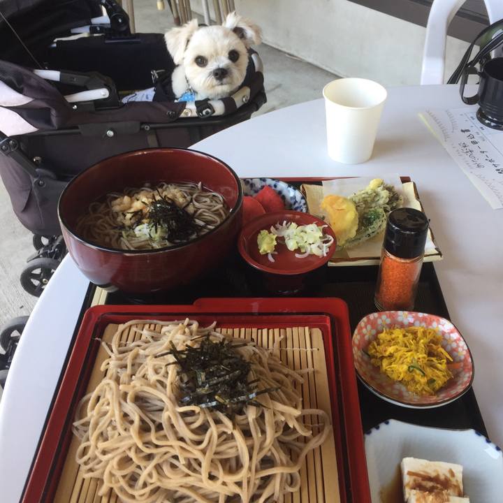 2d106194 416c 42a7 9da9 2994f79687e5