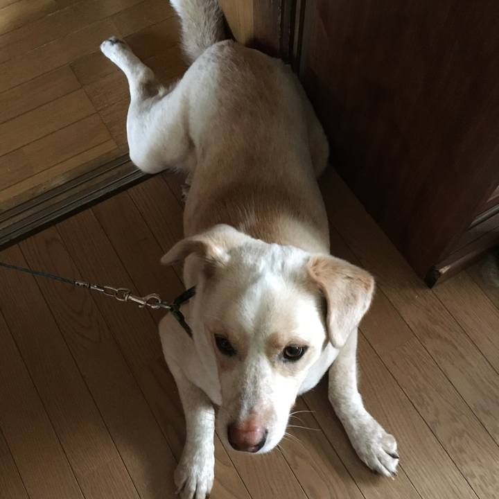 2d10c621 f0ee 4bbd b4ca e93919ac899f