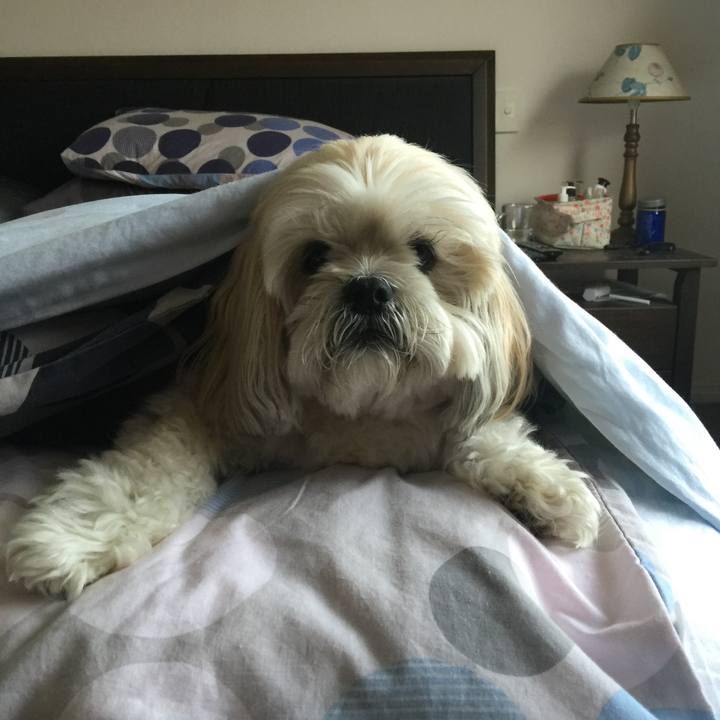 2d12d5e6 ae8f 4d05 9aaf d58c9e85ba35