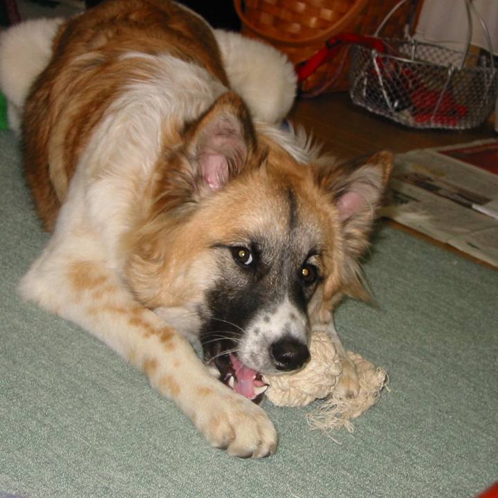 2d130445 49b5 4055 9962 ac7f3acdd9d0