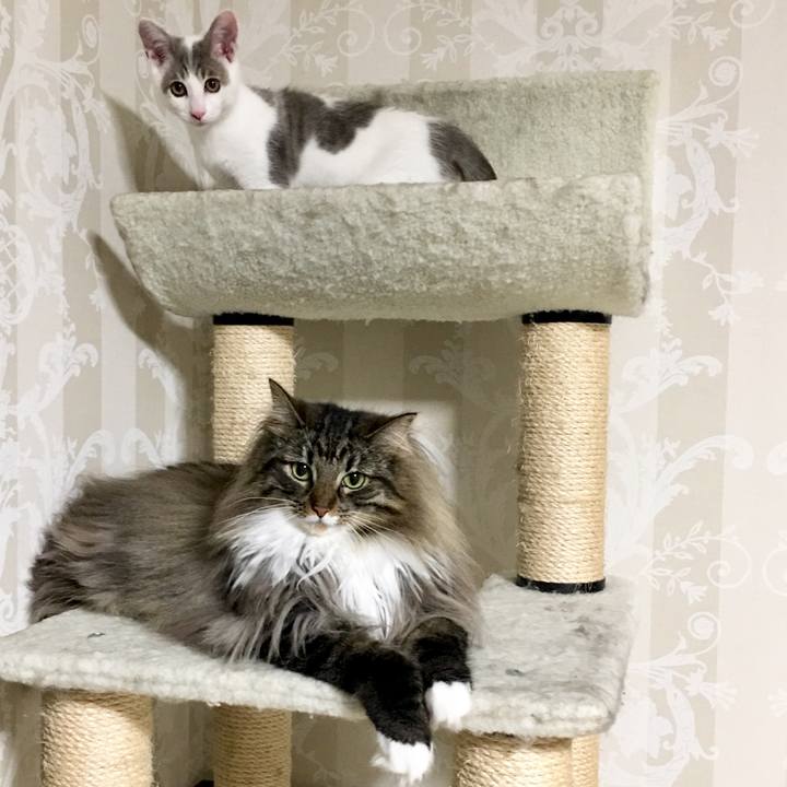 2d1358fc 5b5e 4380 8549 2a0449b96944