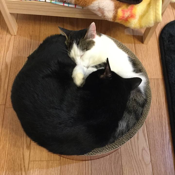 2d1440dd e0b4 49bc 82f2 4ed8abd1d890