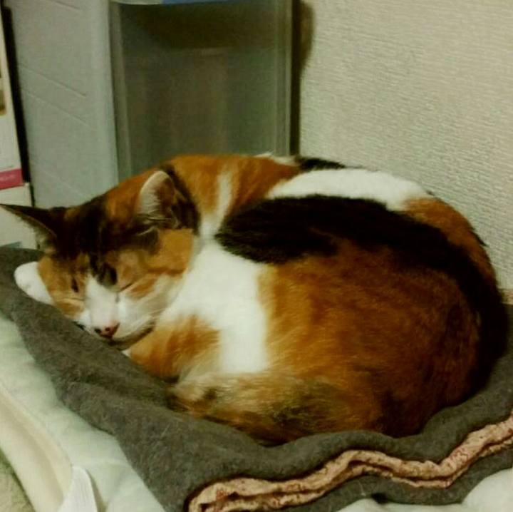 2d144baf 23eb 4873 a7ca 3ad198abc7f0