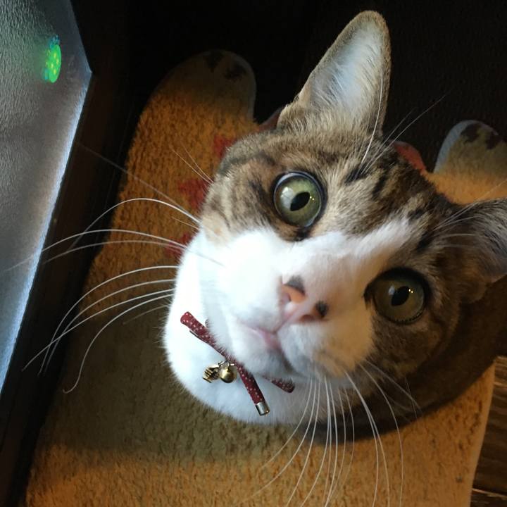 2d14827a 536e 4094 a2a7 70bfd73ffb67