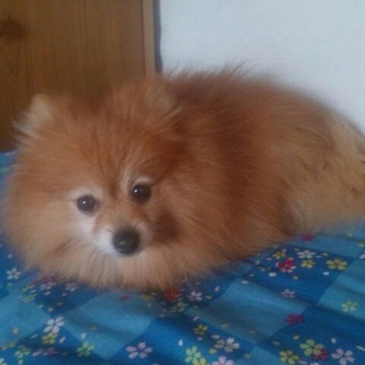 2d14f7c9 a296 4584 95fa f7d100739773