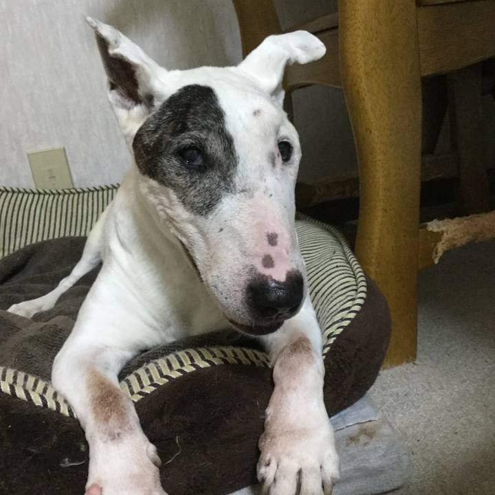 2d15253c 218c 4577 a2ed c6491e8fc76c