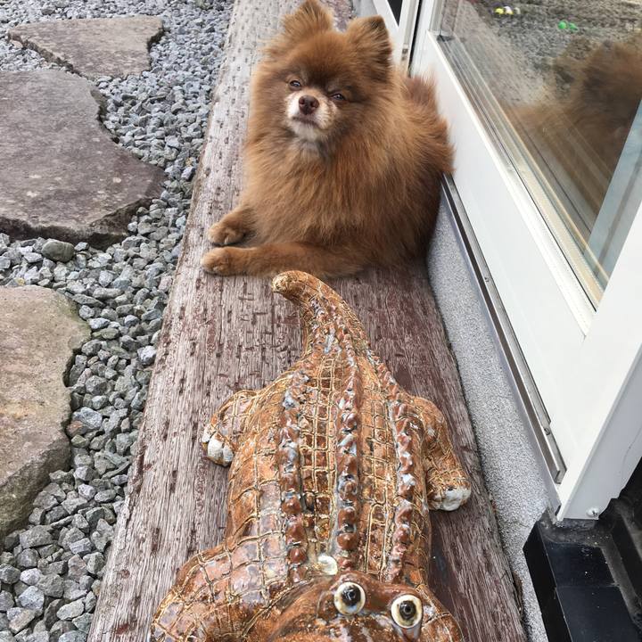 2d155ea1 ff9a 46d4 ad94 289617213849