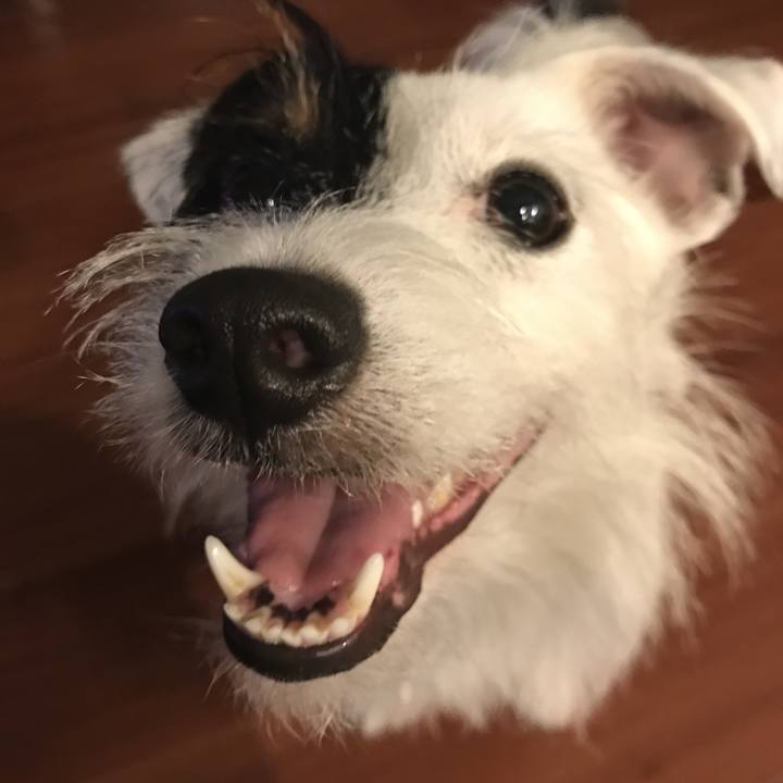 2d158d65 646b 4999 b7b4 e3efb209feb0