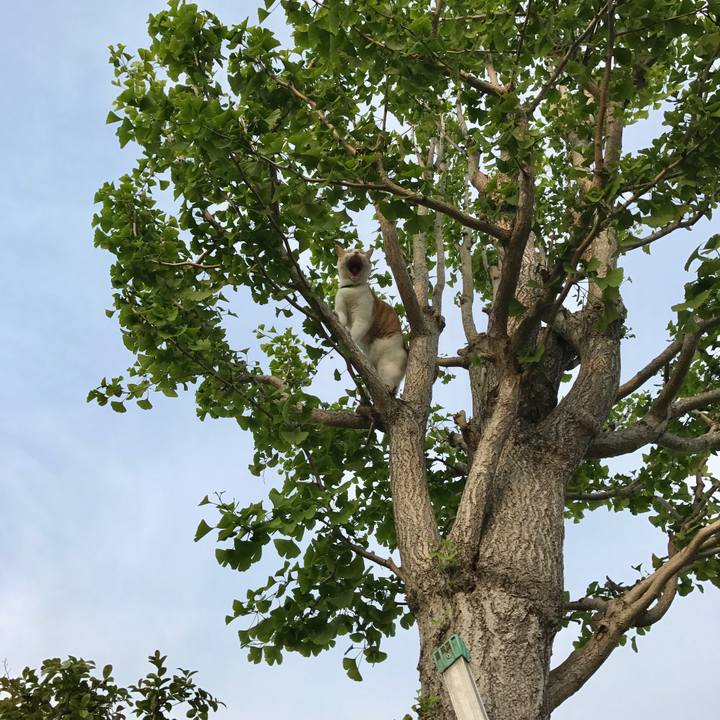 2d160cdf 53d3 4d3f 8958 20449f08d0e8