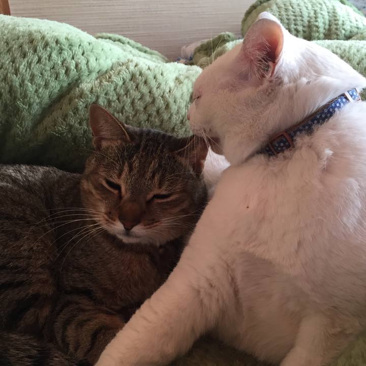 2d163fa7 54b9 48ed 8242 18b84c9e904c