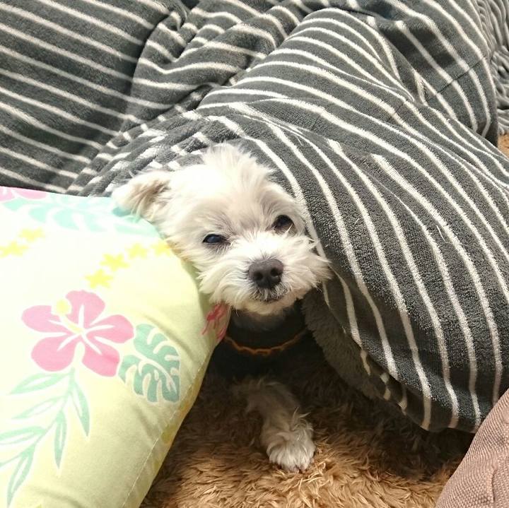 2d16efc7 25c2 4f4e b7f7 ffcdcb16240d