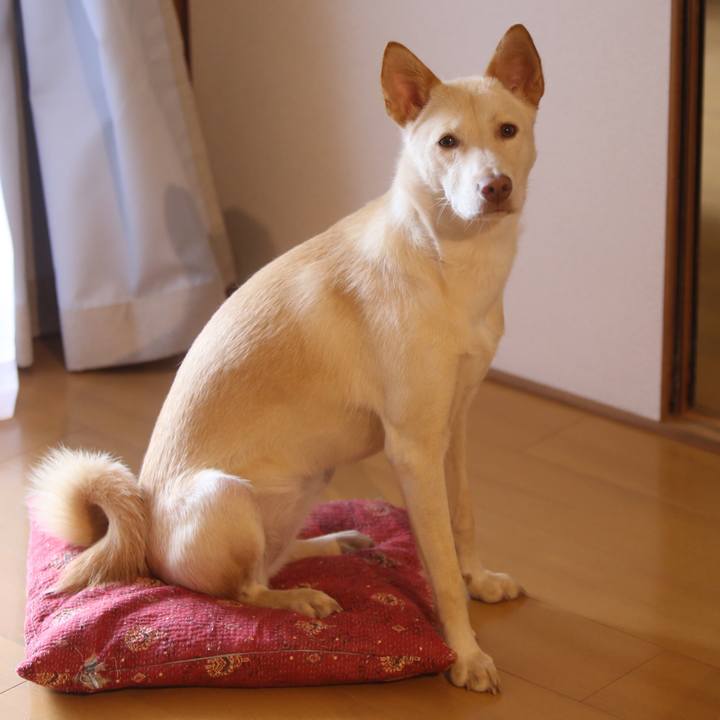 2d174fff 2333 4361 9cfd 846bd08c309e