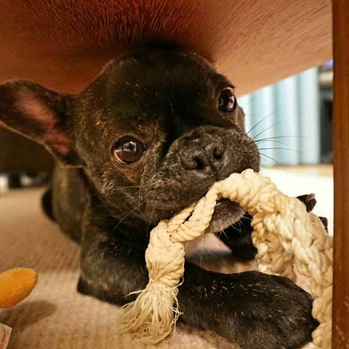 2d18aa2e 9cf2 41a7 9e0d 063b47c6a762