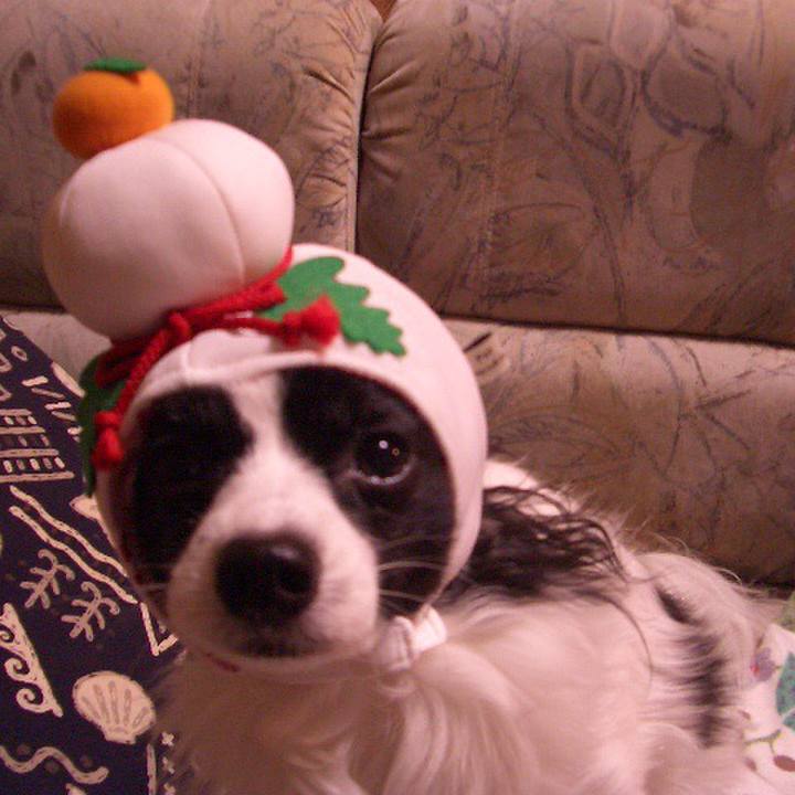 2d1939de 23df 4a43 95d1 f97095718086