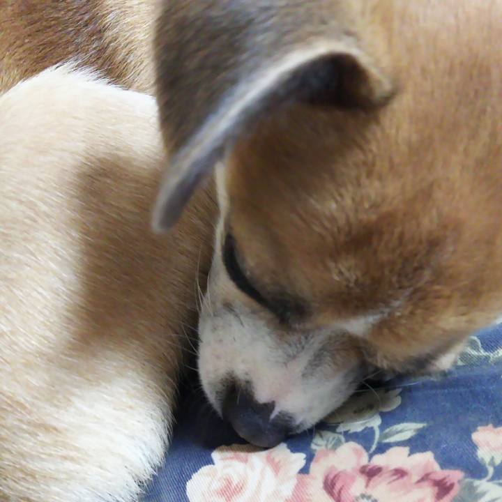 2d1ab489 6877 4f1f a7a9 5ee6c22566cb