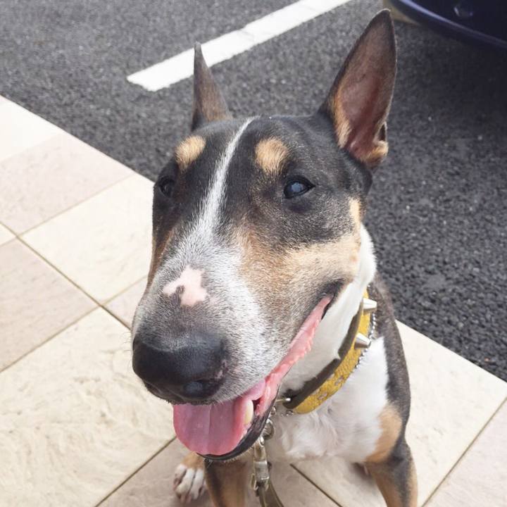 2d1b03ef a59e 41e2 b7bd 57fb5aedf92b