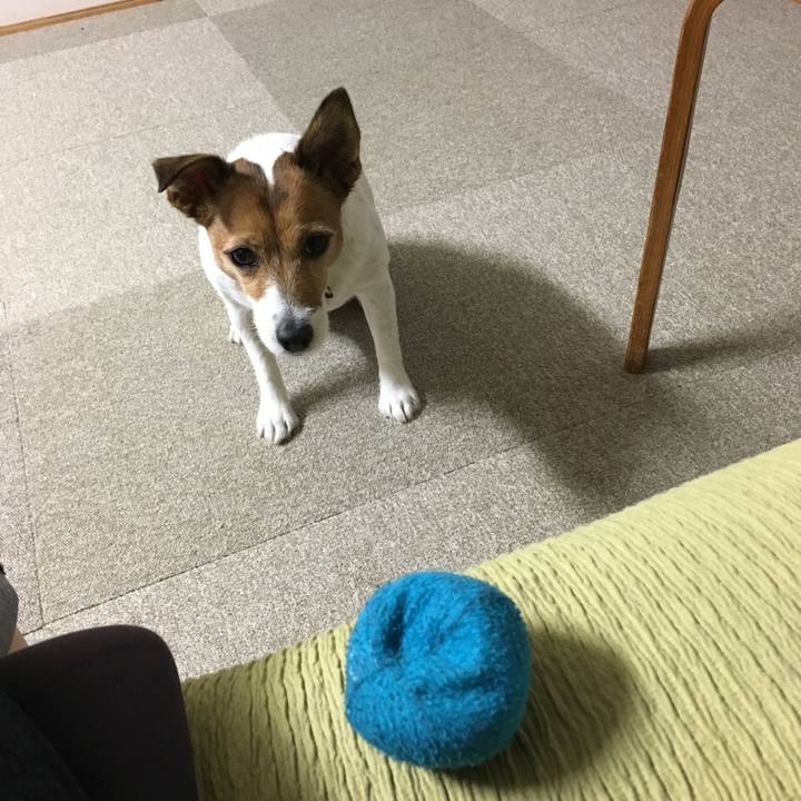 2d1b373c 3c9c 450a 8d00 a790502d85ef