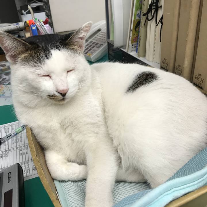 2d1bf3fe 5172 4f50 9cb4 4ea03eda3f9f