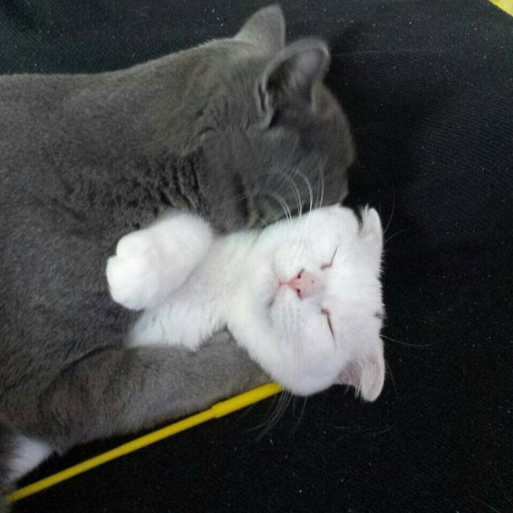 2d1c5a39 09dc 47a1 a2f2 0e593cc9b757