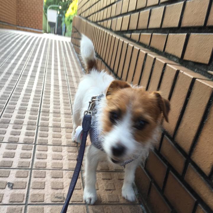 2d1cb8f3 8648 4694 9b88 c4580b620fdb