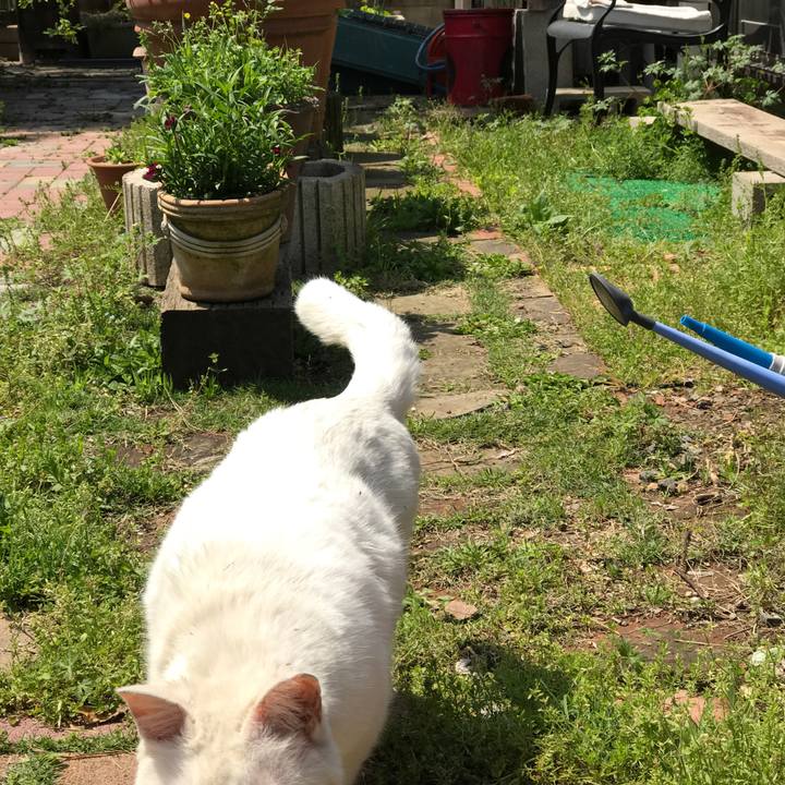 2d1ce10a ebe6 4adb b25b 370356cafc8f