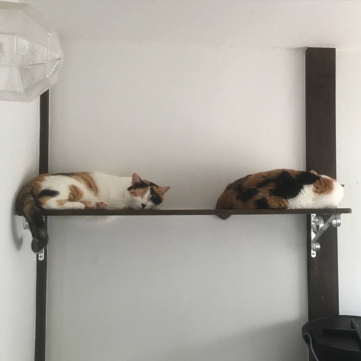 2d1d2484 999a 49cd b9e3 ce42d1038f61