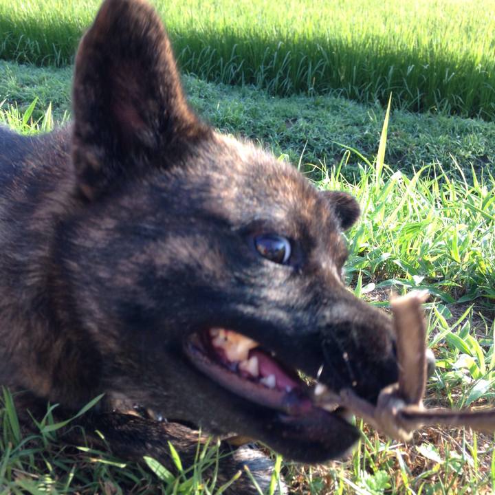 2d1d7a81 d9a1 4894 ade2 66c411e1608b