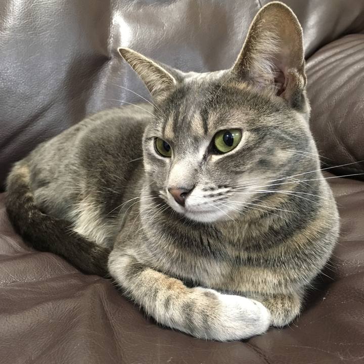 2d1d82d2 a54e 4cd7 ad2a c200dc13eb26