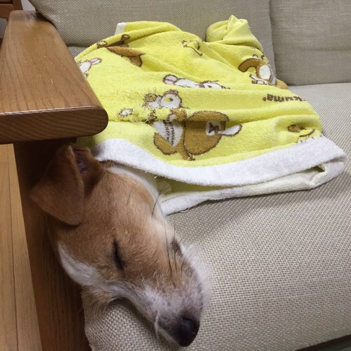 2d1d9789 4811 492c a7c3 1d3a0d313023