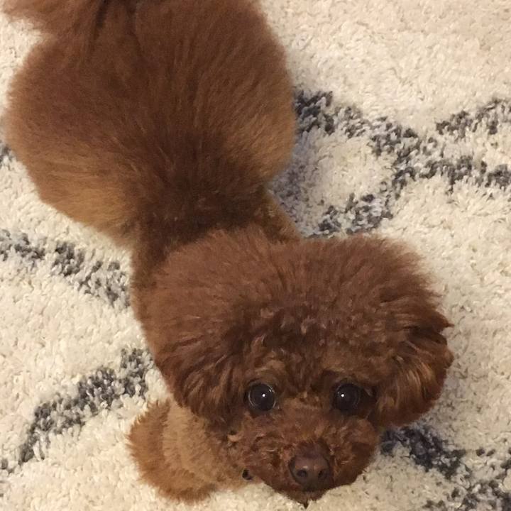 2d1e0807 c240 44ce 9027 b9dfc9f383f4