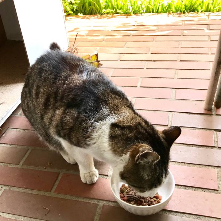 2d1f23e2 0977 43a2 835f 5f7da3bfc166