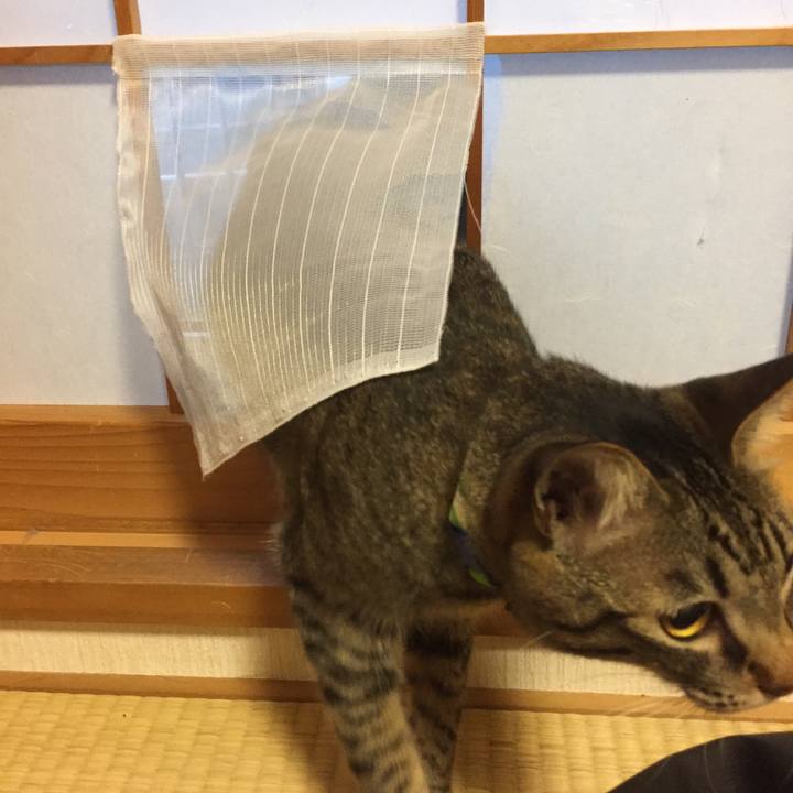 2d1f4743 938f 4de4 a3a2 3c371509b29f