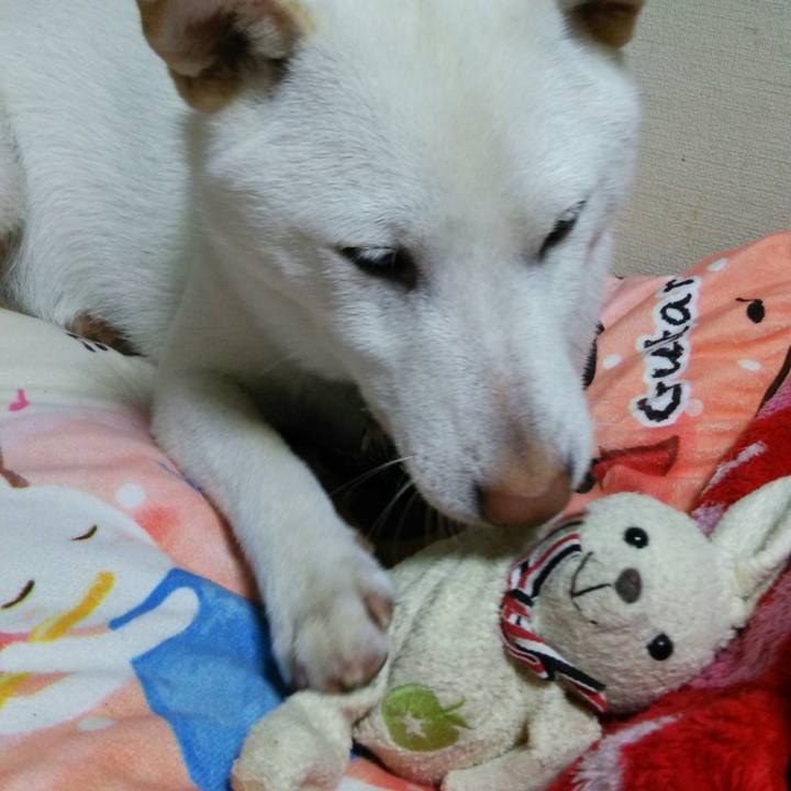 2d1f6d2e 4c72 4d3e b889 7742818bb985