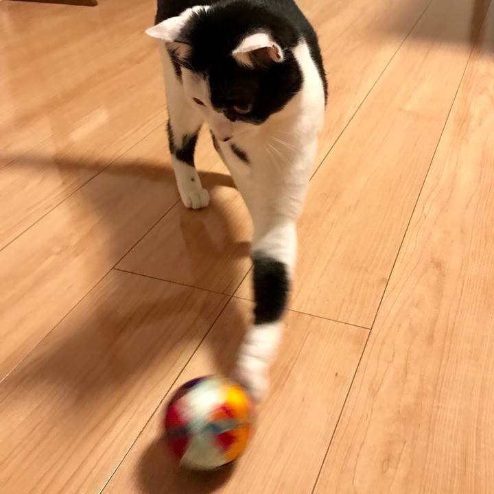 2d1f8807 4621 40f0 a35a 66fe6a39e2ac