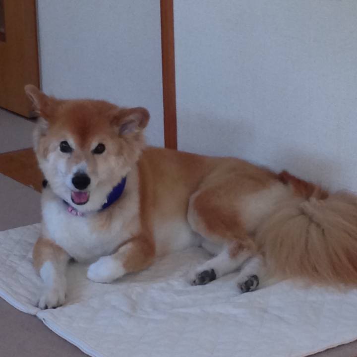 2d1fd222 86c0 4222 8b87 4af4231db7ab