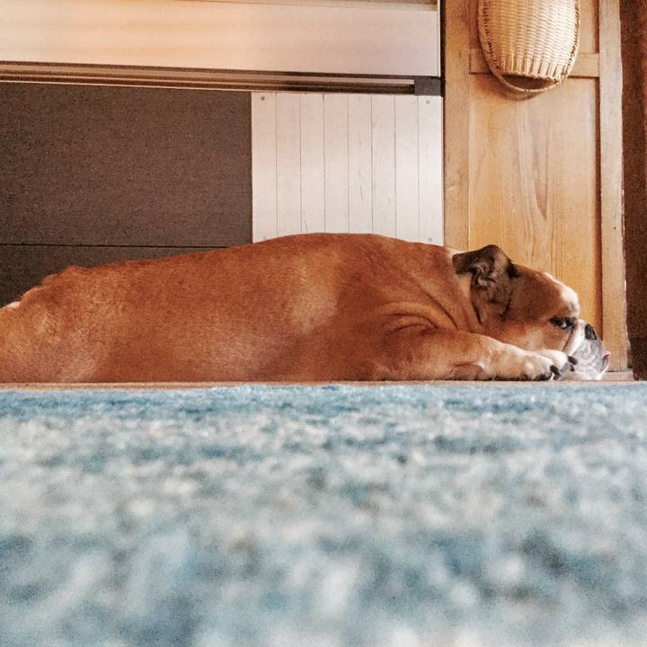 2d200513 2b9e 4cff 8ea1 757fe900d782