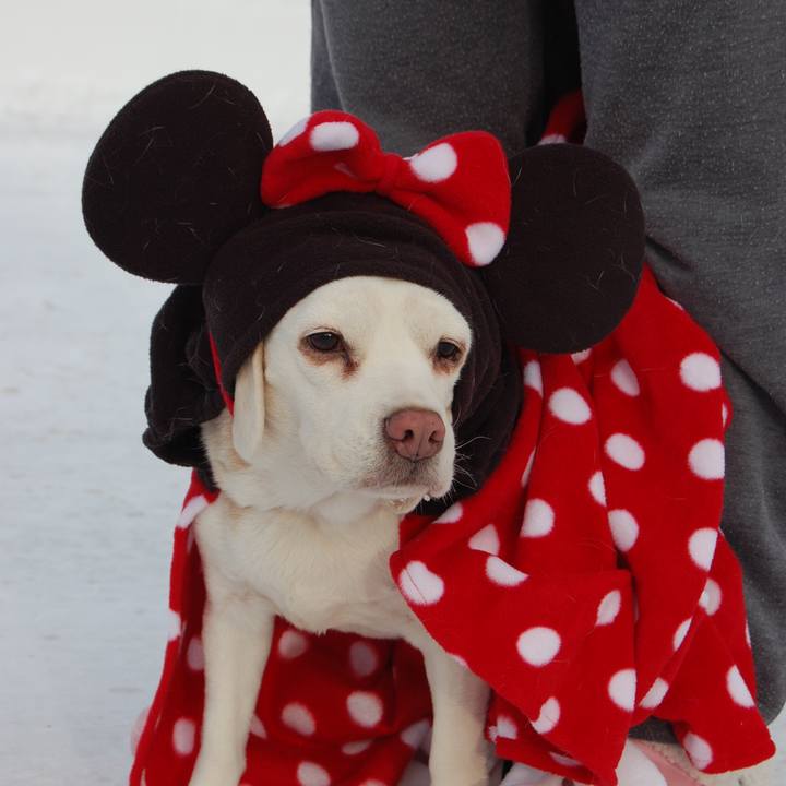 2d209383 4732 43a3 974d fa32283901a4