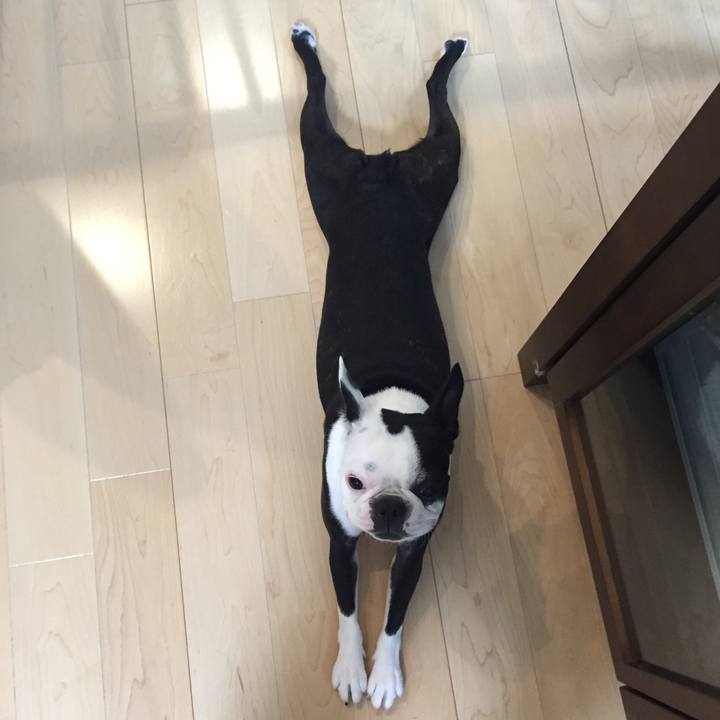 2d20c398 c811 4e3e ba28 8b45dfbc8e0c