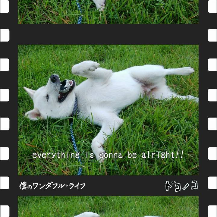 2d211afb 1aad 41ca a05a a0d10b035084